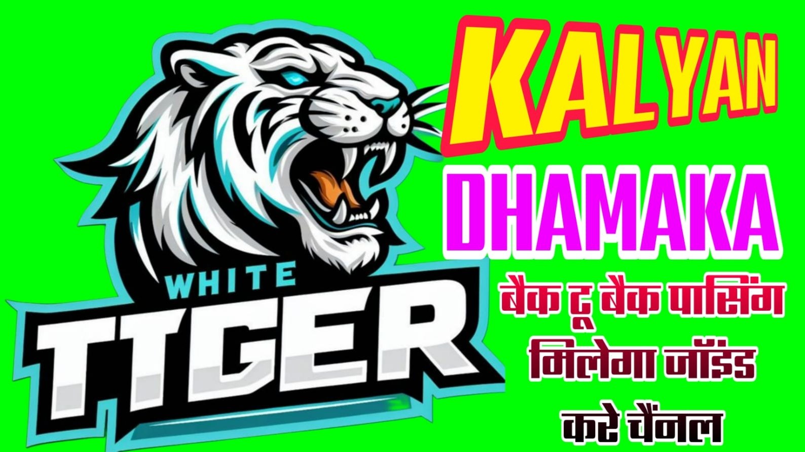 👉TIGER OFFICIAL KING👌