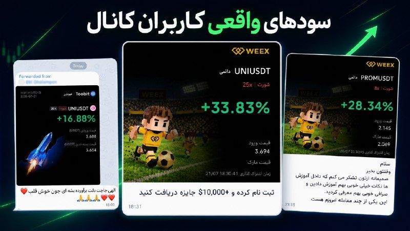 ShayanFX Crypto