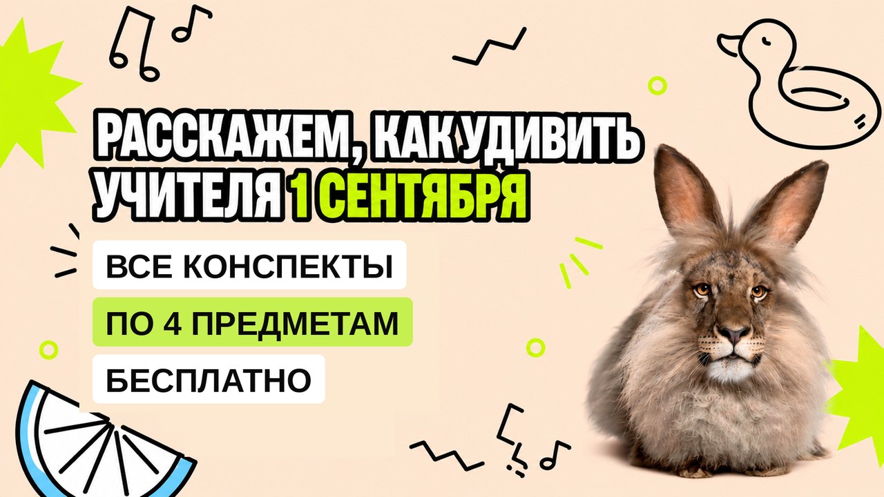 Летняя школа 5-8 класс