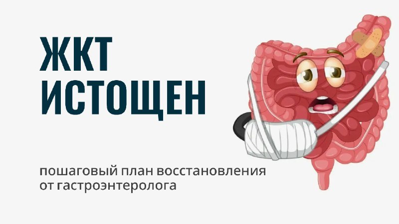 Бесплатный урок гастроэнтеролога