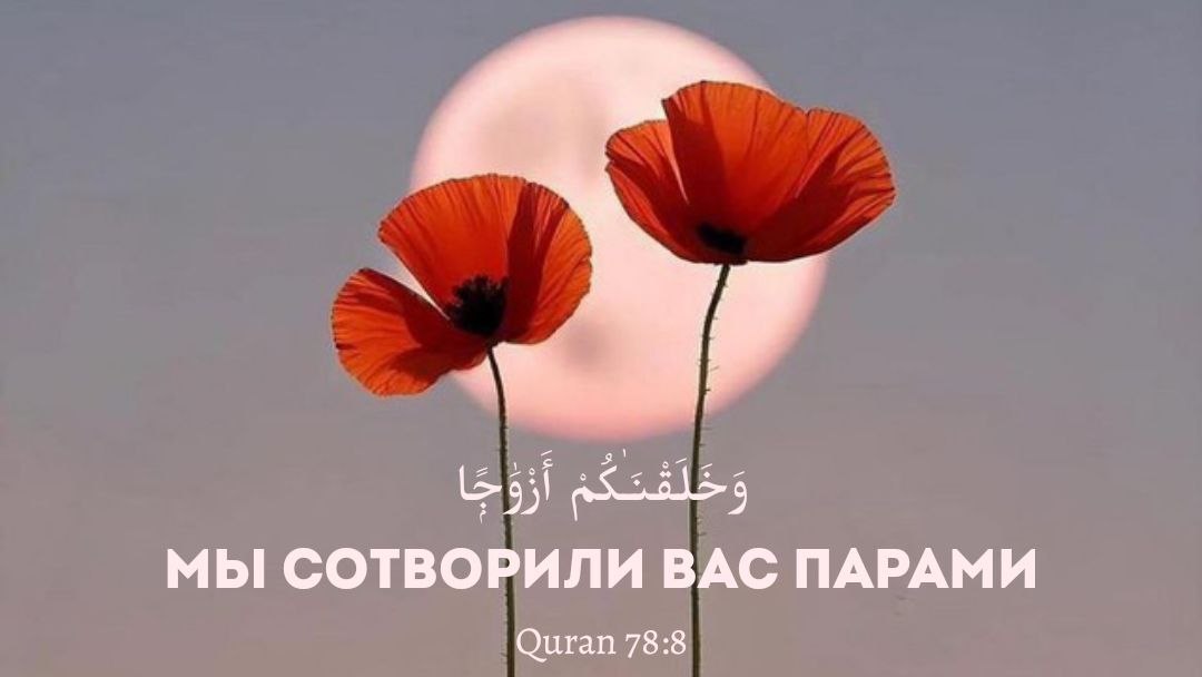 Мы сотворили вас парами