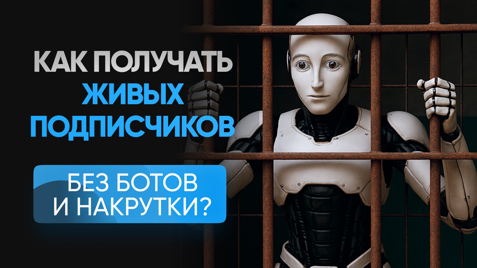 Nikita Fox | Трафик для онлайн-школ