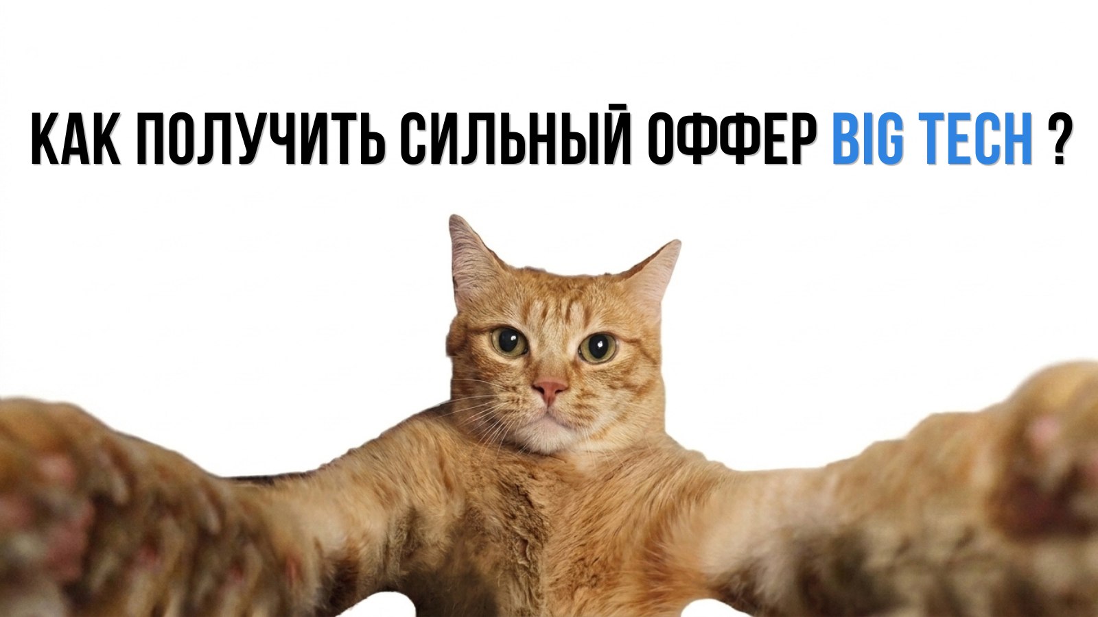 Тихон | Помогаю разработчикам устроиться в BigTech