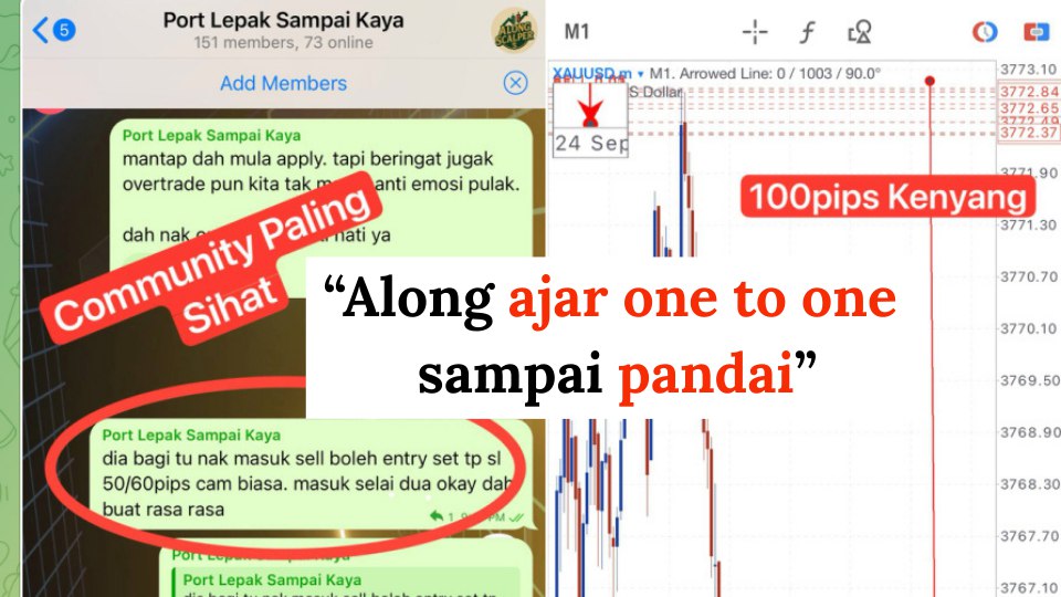 Along Gold Scalper